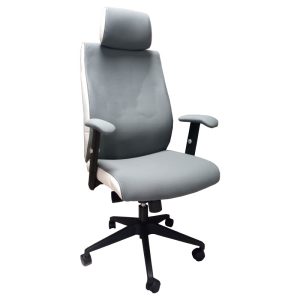 Uredska fotelja DS Line/T Nesy